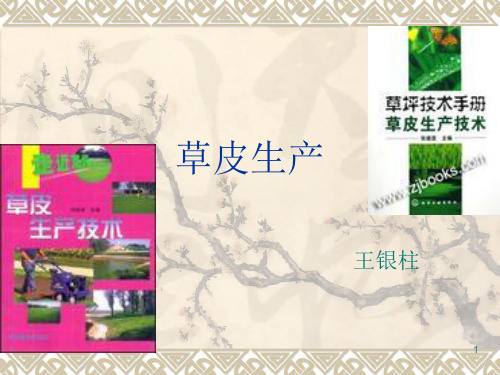 草皮生产