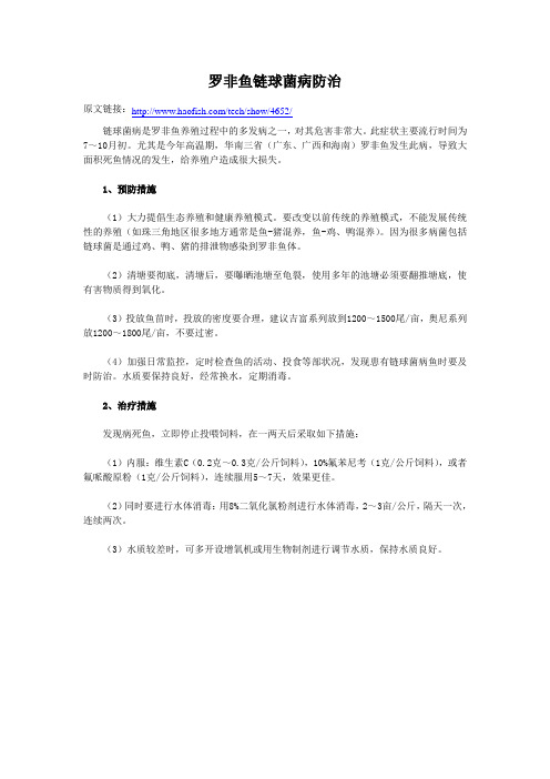 罗非鱼链球菌病防治