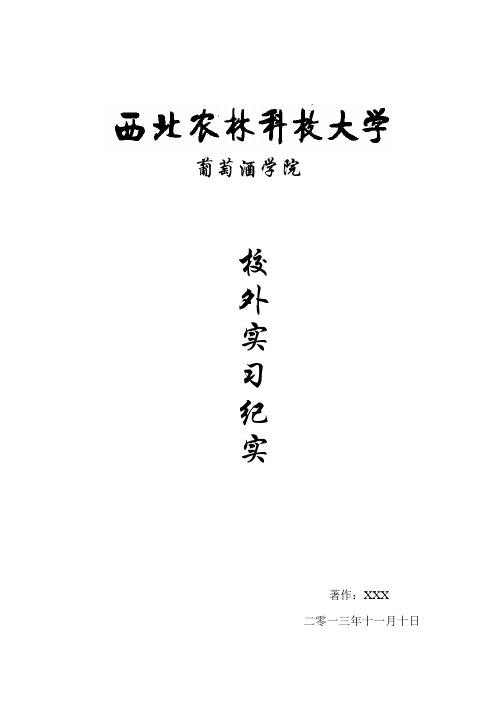 新疆中信国安实习心得