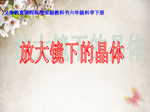 【教科版】放大镜下的晶体PPT教学课件1