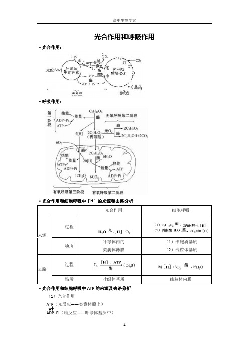 光合作用和呼吸作用复习学案