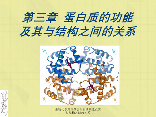 生物化学第三章蛋白质的功能及其与结构之间的关系