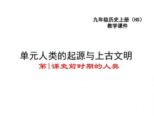 《史前时期的人类》PPT实用课件7 华东师大版