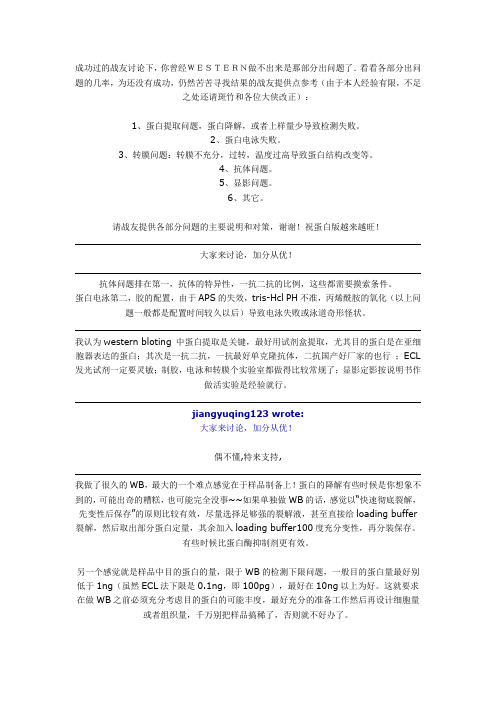 western 出错原因