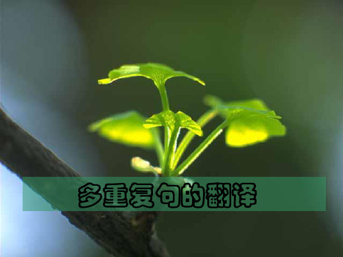 多重复句的翻译