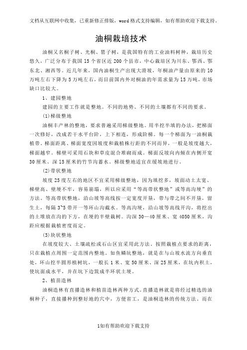 油桐栽培技术精简版