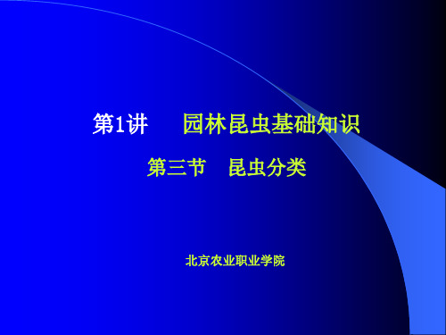 园林相关昆虫主要目科介绍