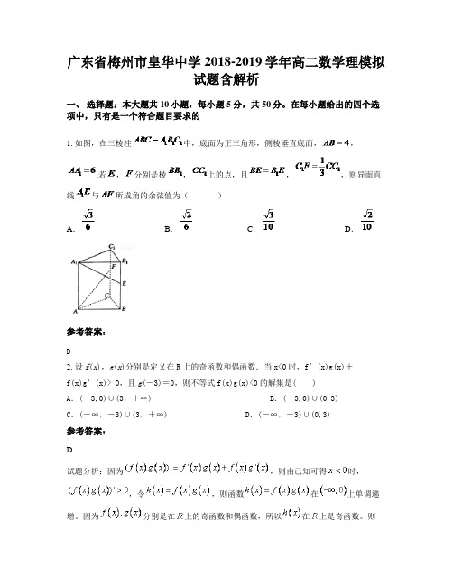 广东省梅州市皇华中学2018-2019学年高二数学理模拟试题含解析