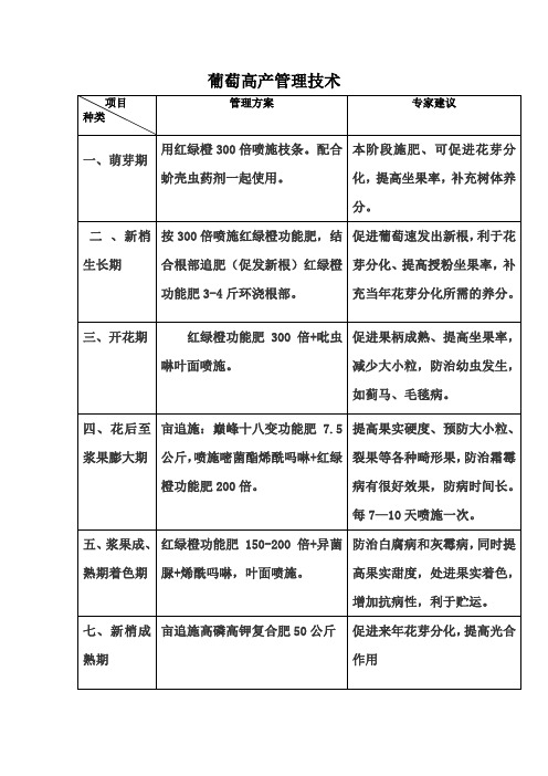 葡萄方案新
