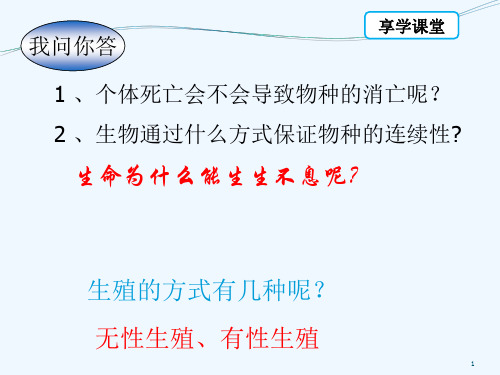 生殖和生命的延续