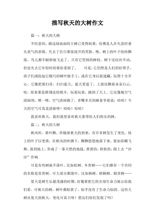 描写秋天的大树作文