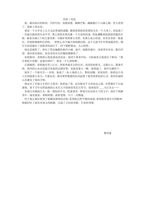 苦涩风流