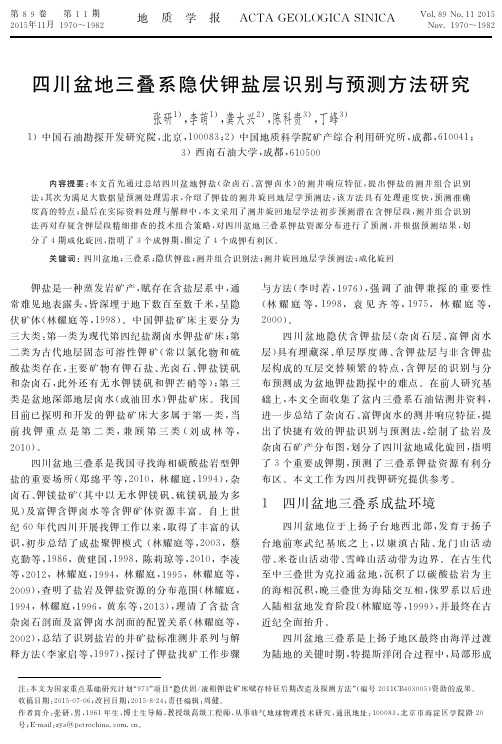 四川盆地三叠系隐伏钾盐层识别与预测方法研究