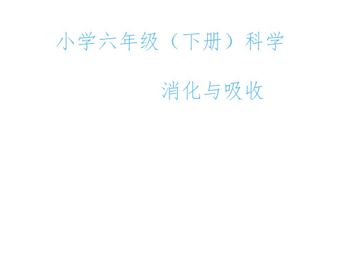 六年级科学下册课件-5消化与吸收-冀人版(共10张PPT)