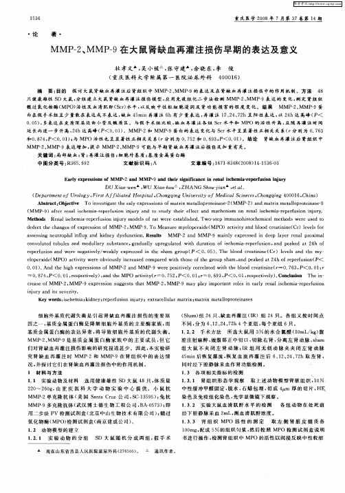 MMP-2、MMP-9在大鼠肾缺血再灌注损伤早期的表达及意义