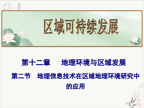 高考地理总复习_地理信息技术在区域地理环境研究中的应用(20页)