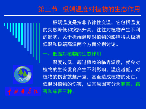 第4章植物与温度的生态关系2