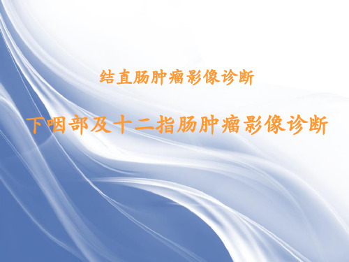 (精品医学)结直肠肿瘤的影像诊断PPT演示课件