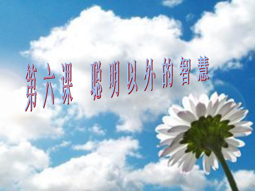 第十二课时聪明以外的智慧课件