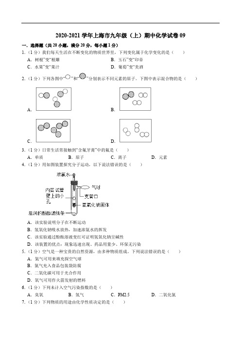 2020-2021学年九年级化学上学期期中测试卷09(上海专用)(原卷版)