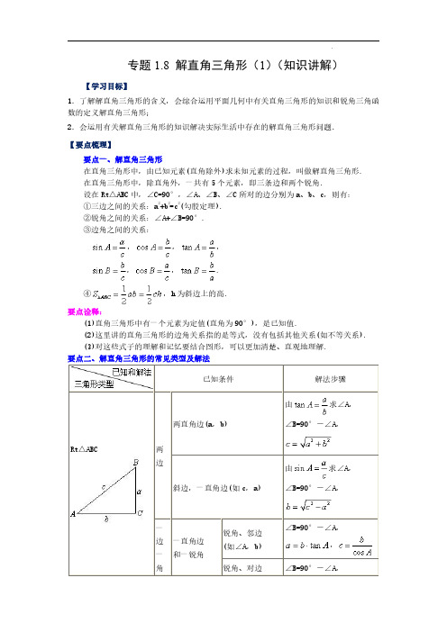 解直角三角形(1)(知识讲解)九年级数学下册基础知识专项讲练(浙教版)