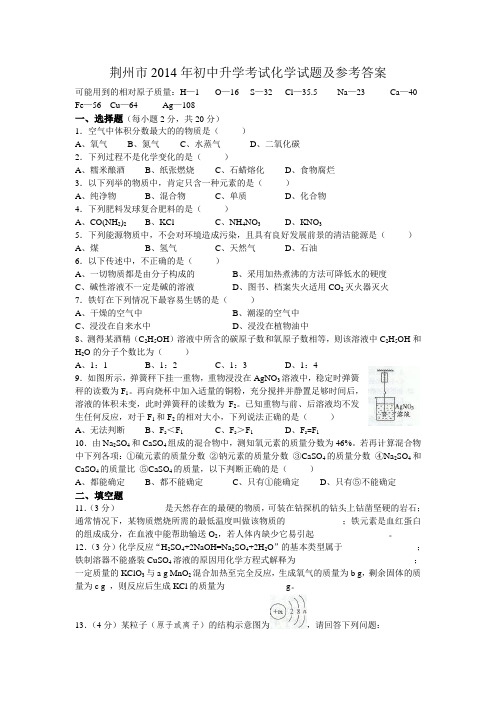 荆州市初中升学考试化学试题及参考答案