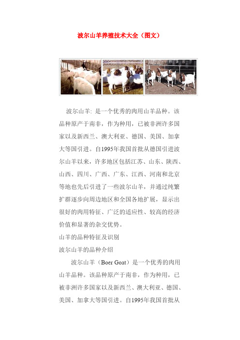 波尔山羊养殖技术