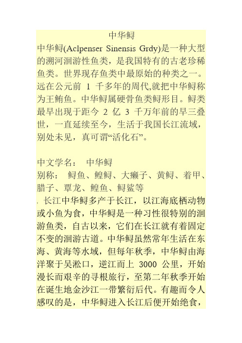 中华鲟