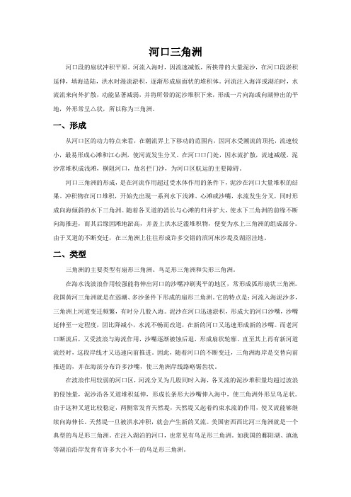 河口三角洲