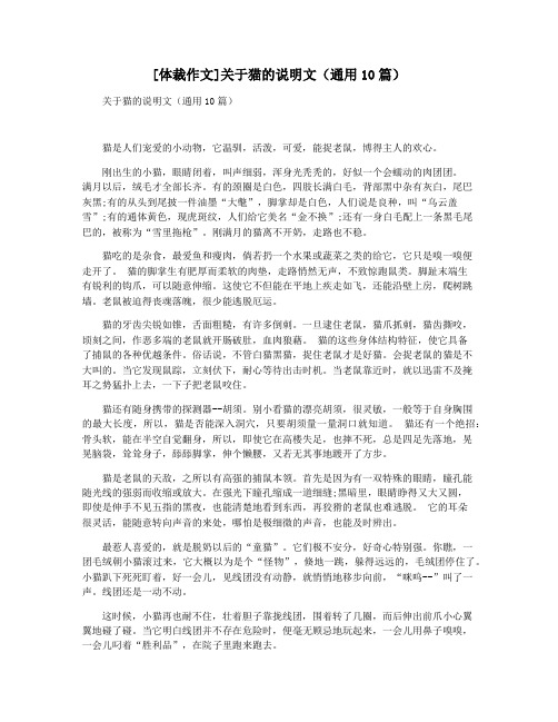 [体裁作文]关于猫的说明文(通用10篇)