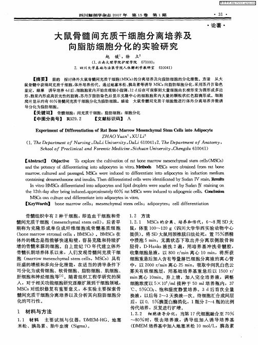 大鼠骨髓间充质干细胞分离培养及向脂肪细胞分化的实验研究