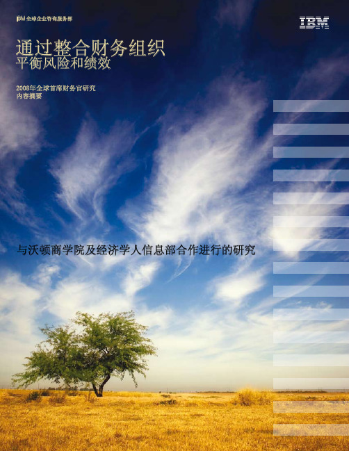 IBM2008年全球财务总监调查报告