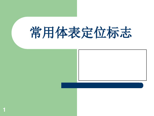常用体表定位标志PPT