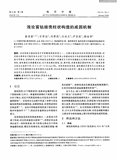 浅论富钴结壳柱状构造的成因机制