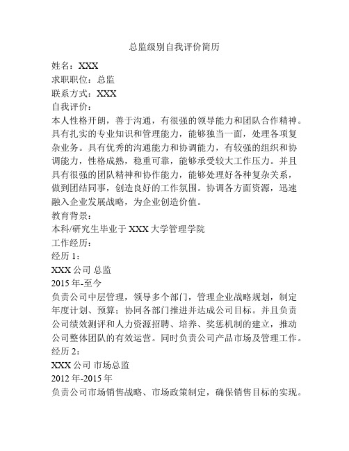总监级别自我评价简历