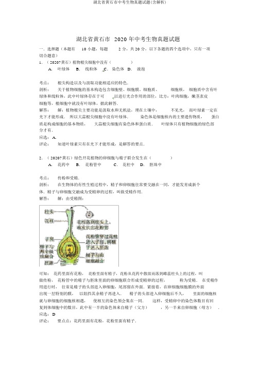 湖北省黄石市中考生物真题试题(含解析)