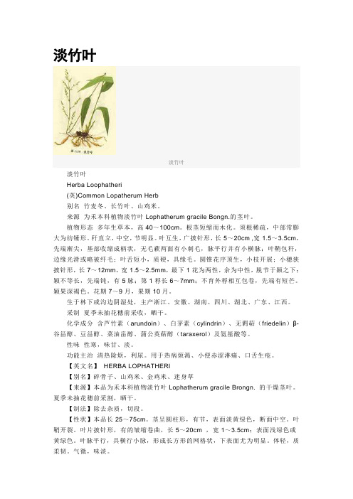 淡竹叶