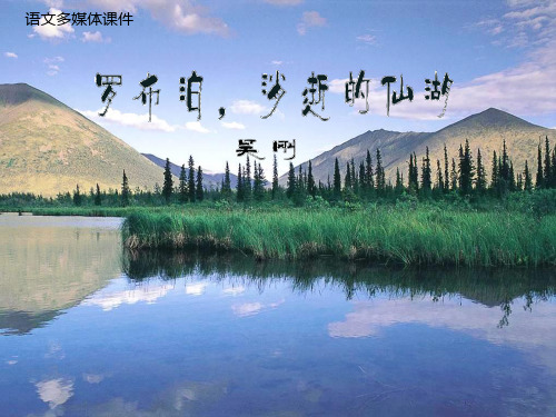 八年级语文上册 《罗布泊,消逝的仙湖》课件 人教新课标版