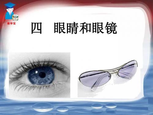 第四节 眼睛和眼镜