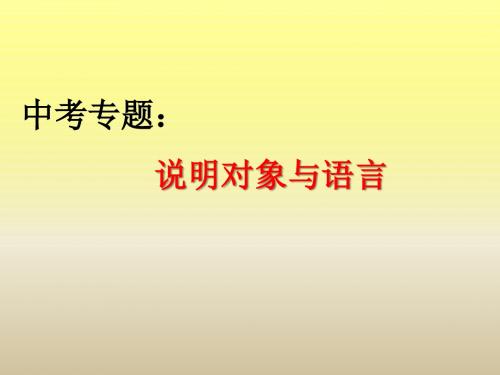 人教版九年级中考语文复习·论述类文本——说明对象与语言 课件 (共13张PPT)