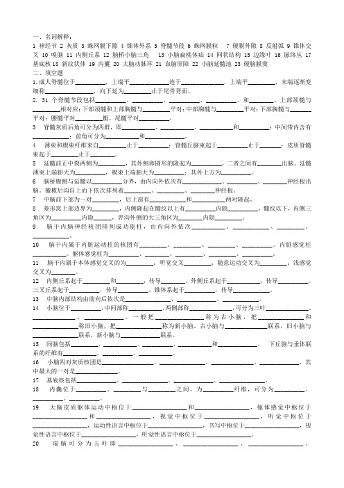 中枢神经系统复习题