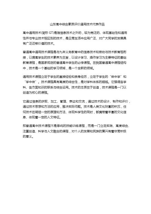 山东高中综合素质评价通用技术代表作品