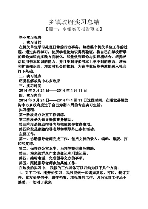 工作总结之乡镇政府实习总结