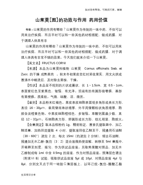 山茱萸[图]的功效与作用 药用价值