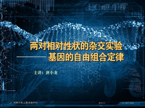高三生物自由组合定律  一轮复习