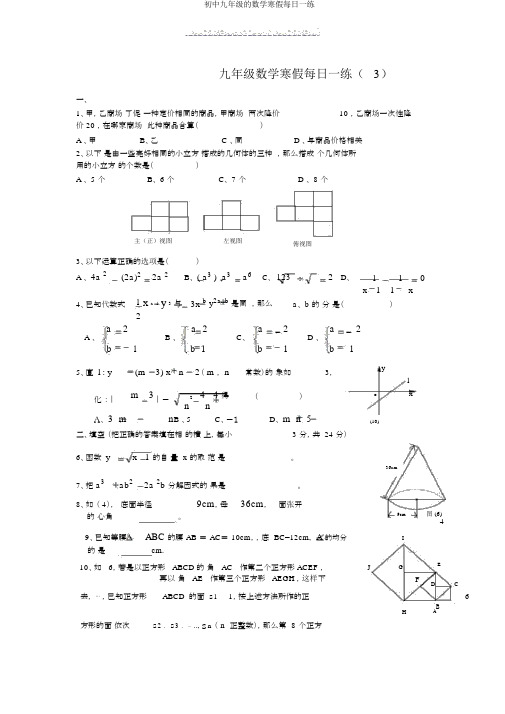 初中九年级的数学寒假每日一练