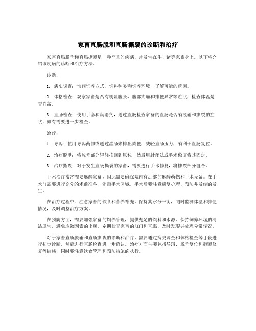 家畜直肠脱和直肠撕裂的诊断和治疗