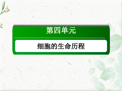 2021新高考生物一轮复习(山东专用)课件：第12讲 减数分裂和受精作用