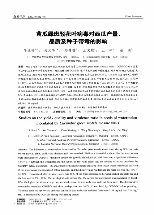 黄瓜绿斑驳花叶病毒对西瓜产量、品质及种子带毒的影响