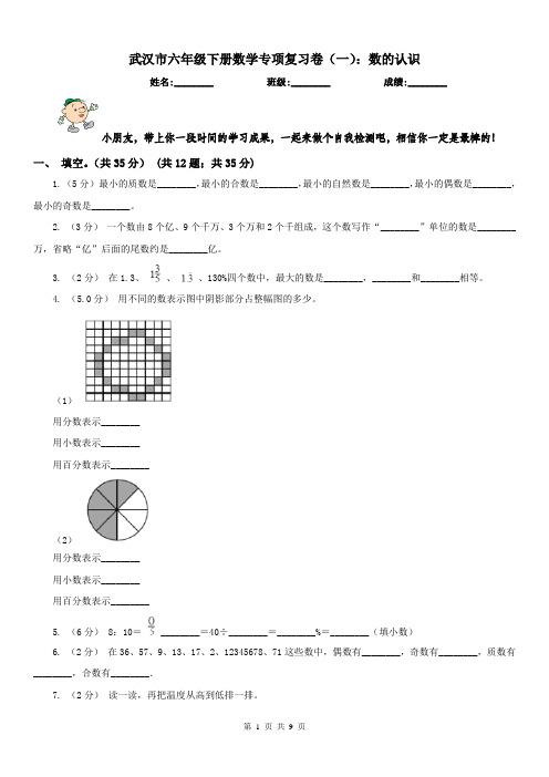武汉市六年级下册数学专项复习卷(一)：数的认识